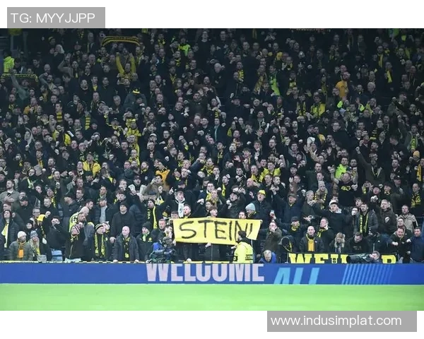 意甲激战：多特蒙德补时绝杀热刺全场沸腾瞬间回顾